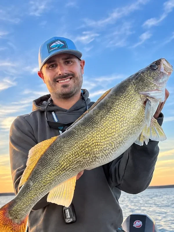 Walleye